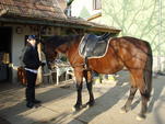 Quartett - www.kutyakozmetika.mbit.hu