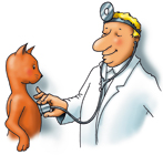 Doki - Bedó kutyakozmetika